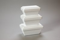 Thermal Take home container